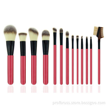 Eco Friendly Professional Cosmetic Makeup Brush Set / Pink Makeup Brushes